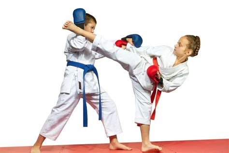 Karate Hangi Ülkeye Aittir?